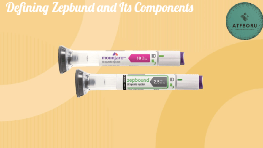 Defining Zepbund and Its Components