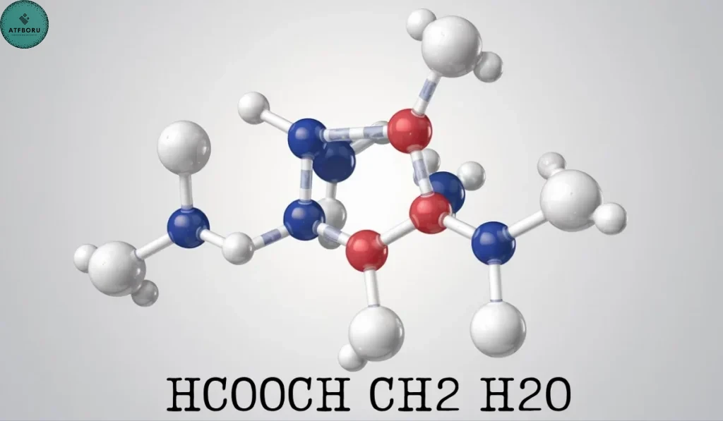 HCOOCH CH2 H2O