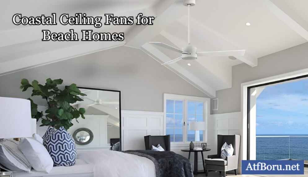Maintenance Tips for Coastal Ceiling Fans